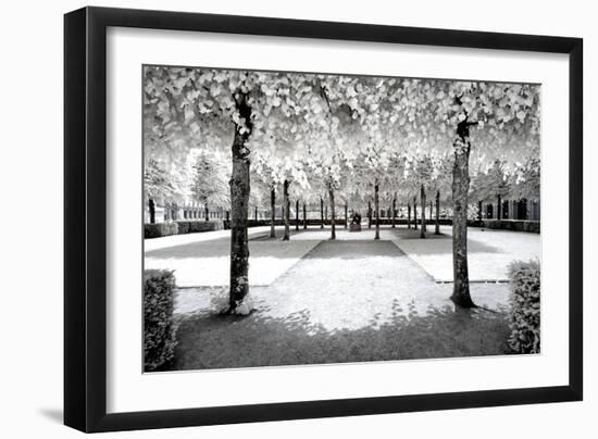 Another Look - Paris-Philippe Hugonnard-Framed Photographic Print