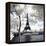 Another Look - Paris-Philippe Hugonnard-Framed Premier Image Canvas