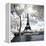 Another Look - Paris-Philippe Hugonnard-Framed Premier Image Canvas