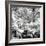 Another Look - Paris-Philippe Hugonnard-Framed Photographic Print