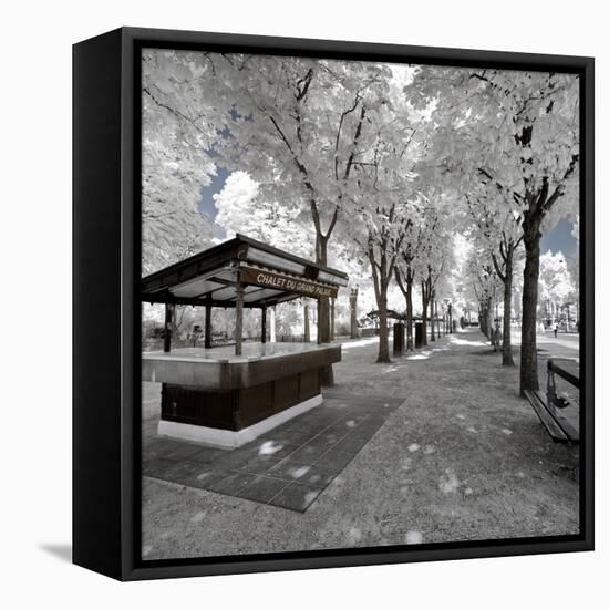 Another Look - Paris-Philippe Hugonnard-Framed Premier Image Canvas