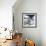 Another Look - Paris-Philippe Hugonnard-Framed Photographic Print displayed on a wall