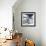 Another Look - Paris-Philippe Hugonnard-Framed Photographic Print displayed on a wall