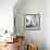 Another Look - Paris-Philippe Hugonnard-Framed Photographic Print displayed on a wall