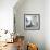 Another Look - Paris-Philippe Hugonnard-Framed Photographic Print displayed on a wall