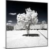 Another Look - Paris-Philippe Hugonnard-Mounted Photographic Print