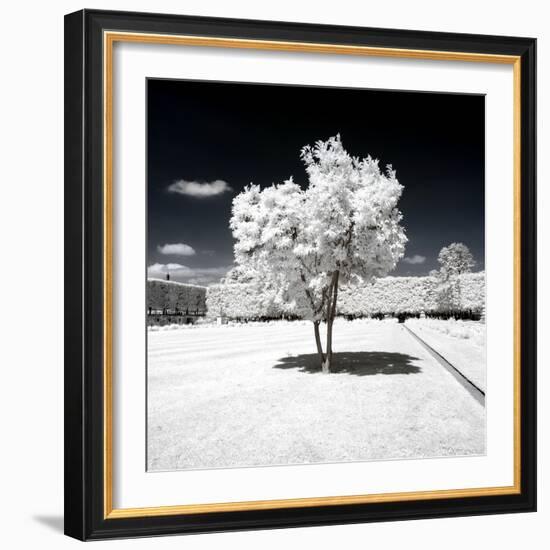 Another Look - Paris-Philippe Hugonnard-Framed Photographic Print