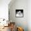 Another Look - Paris-Philippe Hugonnard-Framed Premier Image Canvas displayed on a wall