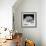 Another Look - Paris-Philippe Hugonnard-Framed Photographic Print displayed on a wall