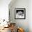 Another Look - Paris-Philippe Hugonnard-Framed Photographic Print displayed on a wall