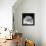 Another Look - Paris-Philippe Hugonnard-Framed Premier Image Canvas displayed on a wall