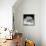 Another Look - Paris-Philippe Hugonnard-Framed Premier Image Canvas displayed on a wall