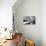 Another Look - Paris-Philippe Hugonnard-Photographic Print displayed on a wall