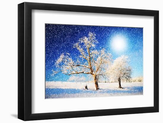 Another Snow Day-Philippe Sainte-Laudy-Framed Photographic Print