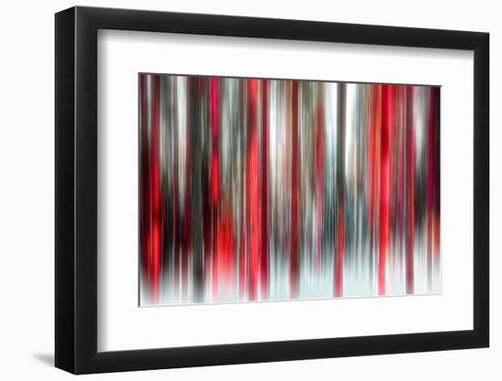 Another tree-Marco Carmassi-Framed Photographic Print