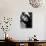 Anouk Aimee-null-Photographic Print displayed on a wall