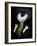 Anouk-Florent Bodart-Framed Giclee Print