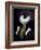 Anouk-Florent Bodart-Framed Giclee Print