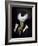 Anouk-Florent Bodart-Framed Giclee Print