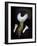 Anouk-Florent Bodart-Framed Giclee Print