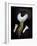 Anouk-Florent Bodart-Framed Giclee Print