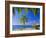 Anse Chastenet Beach, St. Lucia, Caribbean, West Indies-John Miller-Framed Photographic Print