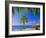 Anse Chastenet Beach, St. Lucia, Caribbean, West Indies-John Miller-Framed Photographic Print