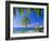 Anse Chastenet Beach, St. Lucia, Caribbean, West Indies-John Miller-Framed Photographic Print