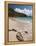 Anse de Grande Saline Beach, St. Barthelemy, West Indies, Caribbean, Central America-Sergio Pitamitz-Framed Premier Image Canvas