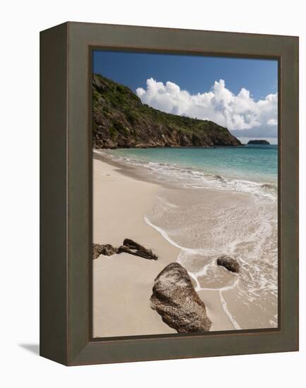 Anse de Grande Saline Beach, St. Barthelemy, West Indies, Caribbean, Central America-Sergio Pitamitz-Framed Premier Image Canvas