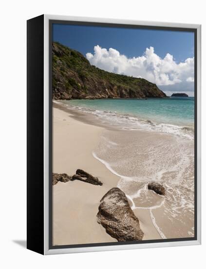 Anse de Grande Saline Beach, St. Barthelemy, West Indies, Caribbean, Central America-Sergio Pitamitz-Framed Premier Image Canvas