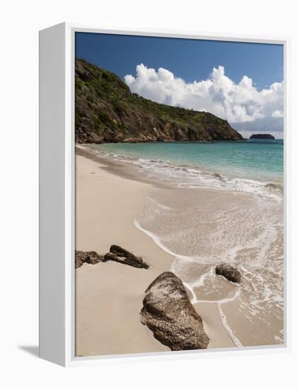 Anse de Grande Saline Beach, St. Barthelemy, West Indies, Caribbean, Central America-Sergio Pitamitz-Framed Premier Image Canvas