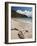 Anse de Grande Saline Beach, St. Barthelemy, West Indies, Caribbean, Central America-Sergio Pitamitz-Framed Photographic Print