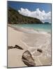 Anse de Grande Saline Beach, St. Barthelemy, West Indies, Caribbean, Central America-Sergio Pitamitz-Mounted Photographic Print