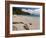 Anse de Grande Saline Beach, St. Barthelemy, West Indies, Caribbean, Central America-Sergio Pitamitz-Framed Photographic Print