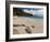 Anse de Grande Saline Beach, St. Barthelemy, West Indies, Caribbean, Central America-Sergio Pitamitz-Framed Photographic Print