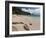 Anse de Grande Saline Beach, St. Barthelemy, West Indies, Caribbean, Central America-Sergio Pitamitz-Framed Photographic Print