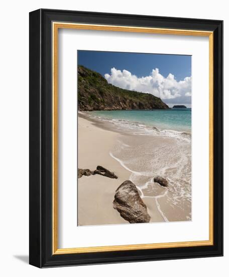 Anse de Grande Saline Beach, St. Barthelemy, West Indies, Caribbean, Central America-Sergio Pitamitz-Framed Photographic Print