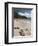 Anse de Grande Saline Beach, St. Barthelemy, West Indies, Caribbean, Central America-Sergio Pitamitz-Framed Photographic Print