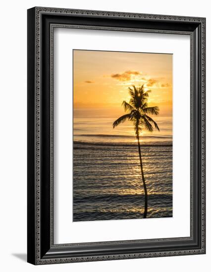 Anse Forbons beach, Mahe, Republic of Seychelles, Indian Ocean.-Michael DeFreitas-Framed Photographic Print