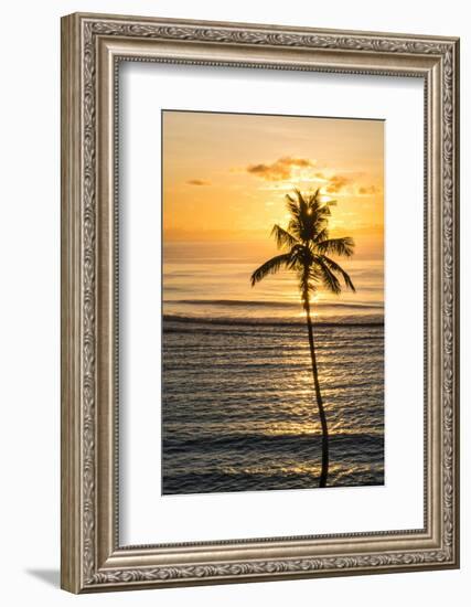 Anse Forbons beach, Mahe, Republic of Seychelles, Indian Ocean.-Michael DeFreitas-Framed Premium Photographic Print