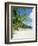 Anse Intedance, Mahe, Seychelles, Indian Ocean-Robert Harding-Framed Photographic Print