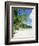 Anse Intedance, Mahe, Seychelles, Indian Ocean-Robert Harding-Framed Photographic Print