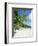 Anse Intedance, Mahe, Seychelles, Indian Ocean-Robert Harding-Framed Photographic Print