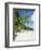 Anse Intedance, Mahe, Seychelles, Indian Ocean-Robert Harding-Framed Photographic Print