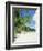 Anse Intedance, Mahe, Seychelles, Indian Ocean-Robert Harding-Framed Photographic Print