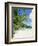 Anse Intedance, Mahe, Seychelles, Indian Ocean-Robert Harding-Framed Photographic Print