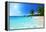 Anse Lazio Beach at Praslin Island, Seychelles-Iakov Kalinin-Framed Premier Image Canvas