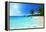 Anse Lazio Beach at Praslin Island, Seychelles-Iakov Kalinin-Framed Premier Image Canvas