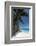 Anse Macquereau, Fregate Island, Seychelles, Indian Ocean, Africa-Sergio Pitamitz-Framed Photographic Print